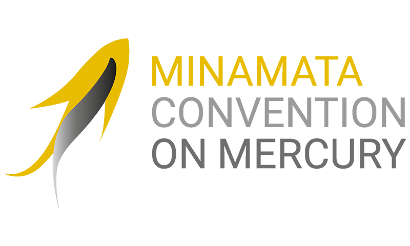 Minamata Convention 