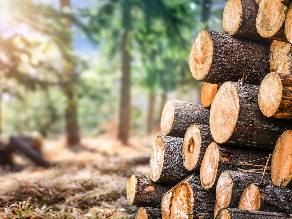 12.2 Natural Resources