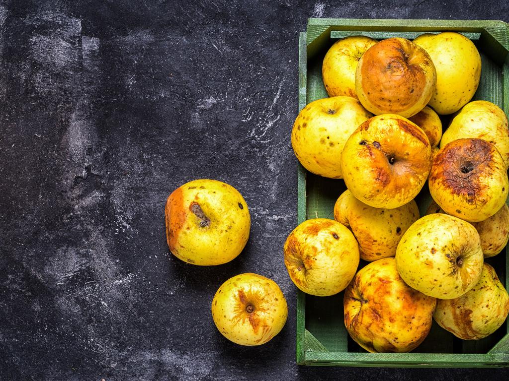 12.3 Food Loss & Waste