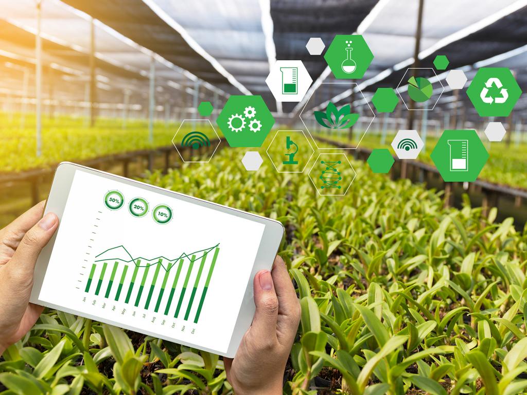 12.6 Sustainability Reporting (Businesses)